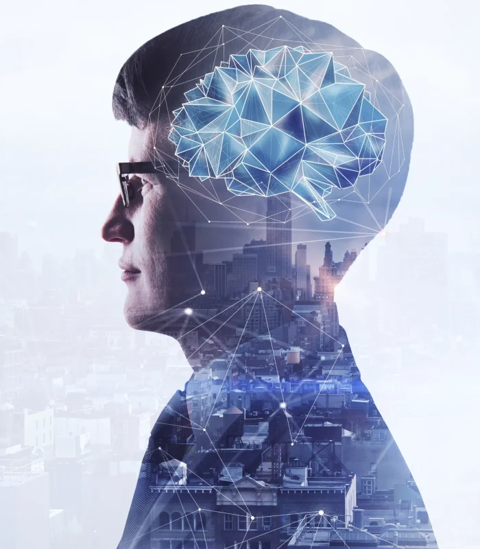 AI Automation Agency in India