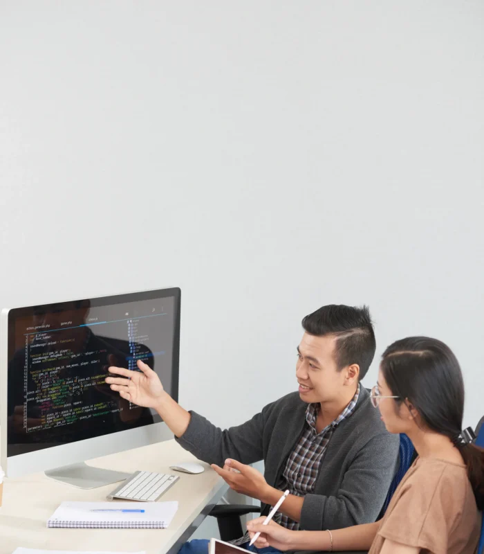 Custom web application development