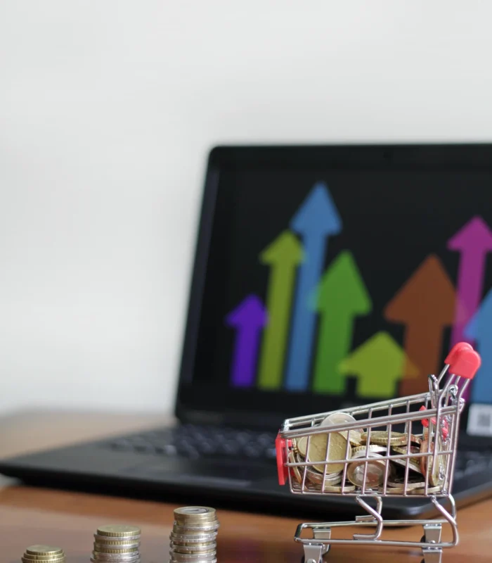 eCommerce Website Design and Development