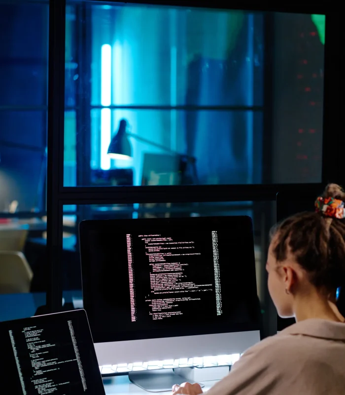 Flutter Application Development Services