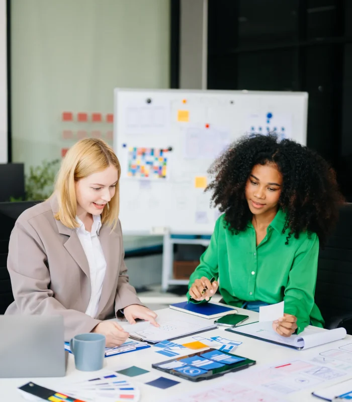 Web Design Development Services