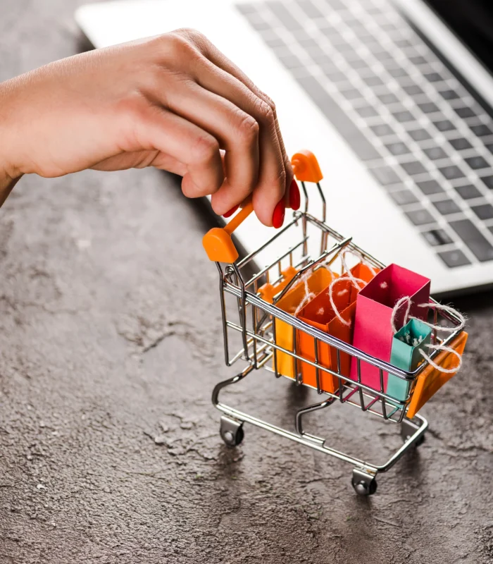eCommerce Website Development